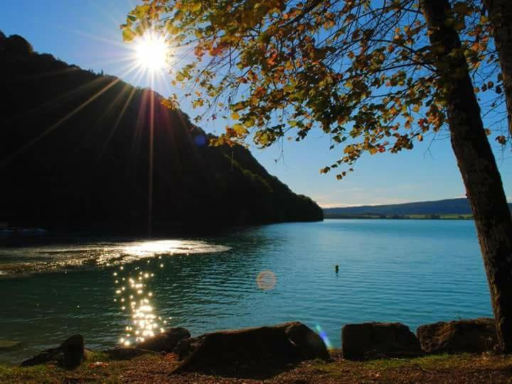 Maison/Gite Familial Dans Le Jura A 200M Du Lac Avec Piscine Privee Marigny  Экстерьер фото