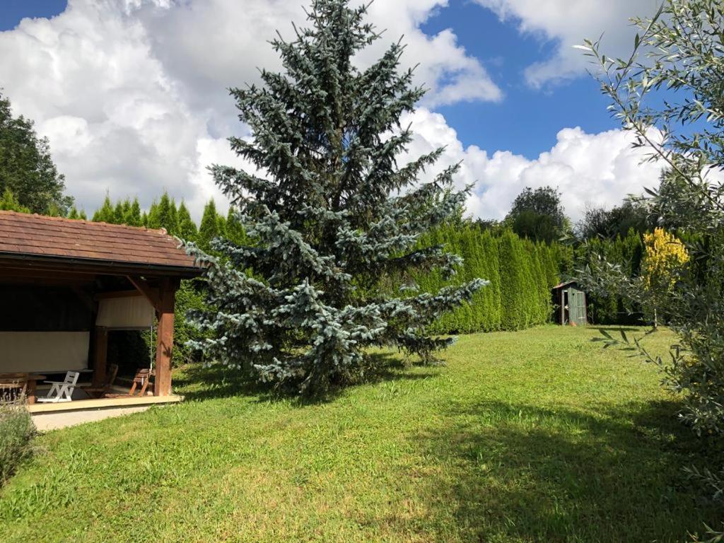 Maison/Gite Familial Dans Le Jura A 200M Du Lac Avec Piscine Privee Marigny  Экстерьер фото