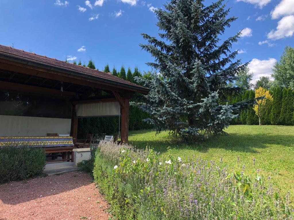 Maison/Gite Familial Dans Le Jura A 200M Du Lac Avec Piscine Privee Marigny  Экстерьер фото