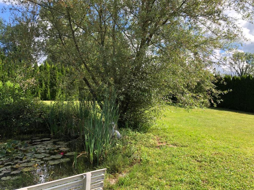 Maison/Gite Familial Dans Le Jura A 200M Du Lac Avec Piscine Privee Marigny  Экстерьер фото