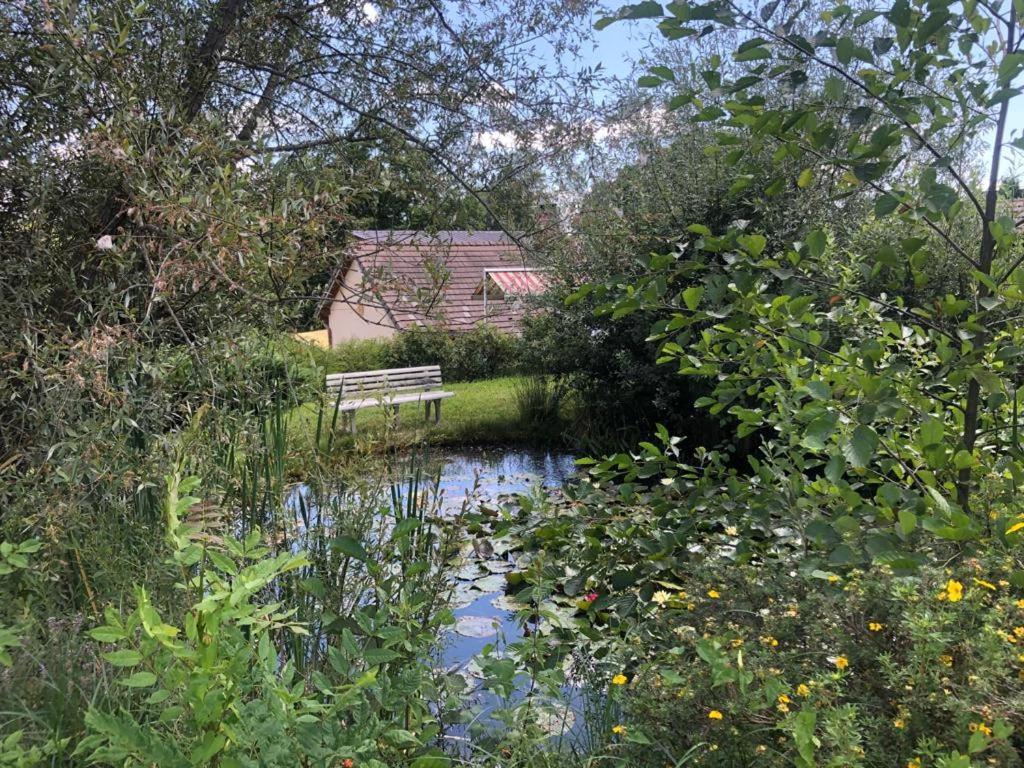 Maison/Gite Familial Dans Le Jura A 200M Du Lac Avec Piscine Privee Marigny  Экстерьер фото